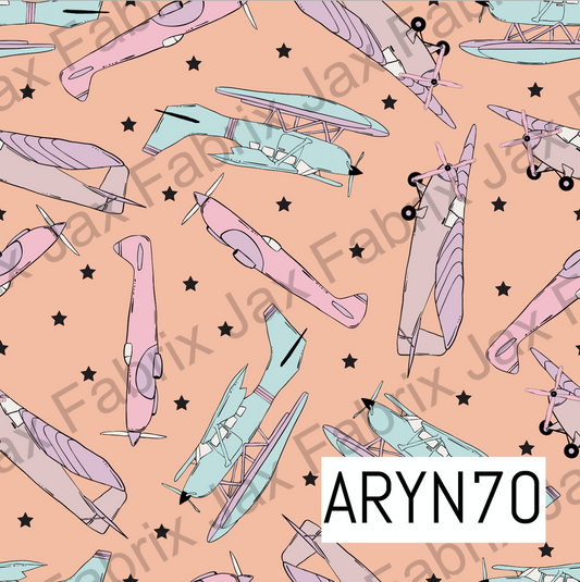 Planes1 ARYN70