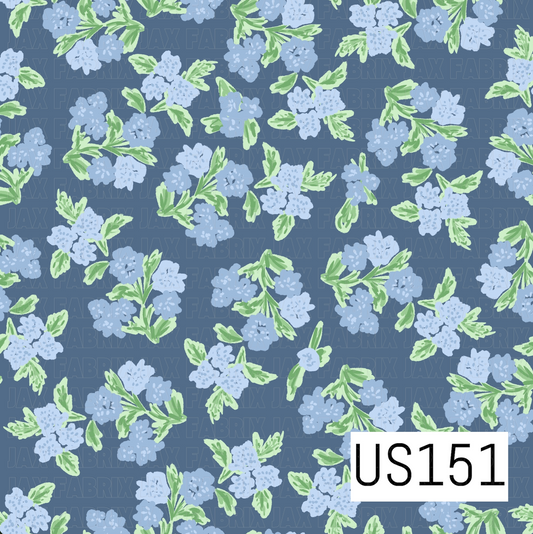 US151