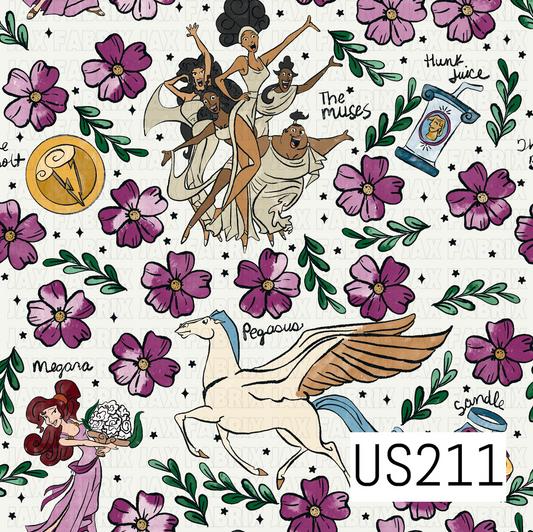 US211