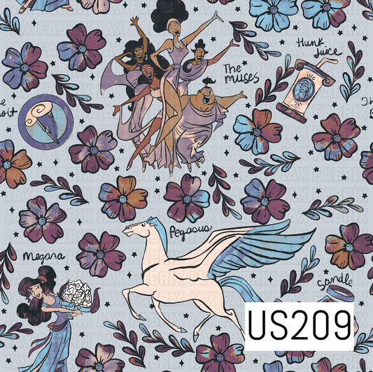US209