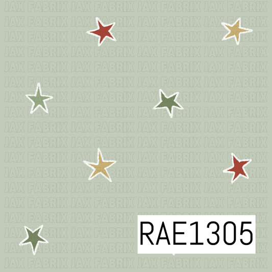 RAE1305