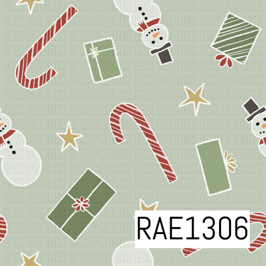 RAE1306