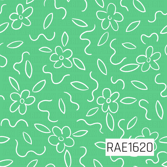 RAE1620