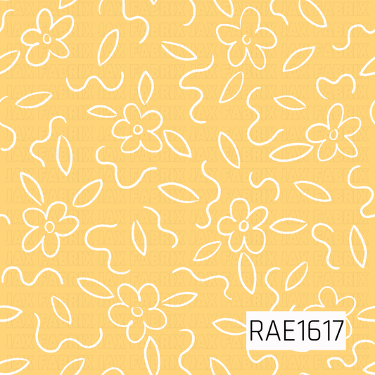 RAE1617