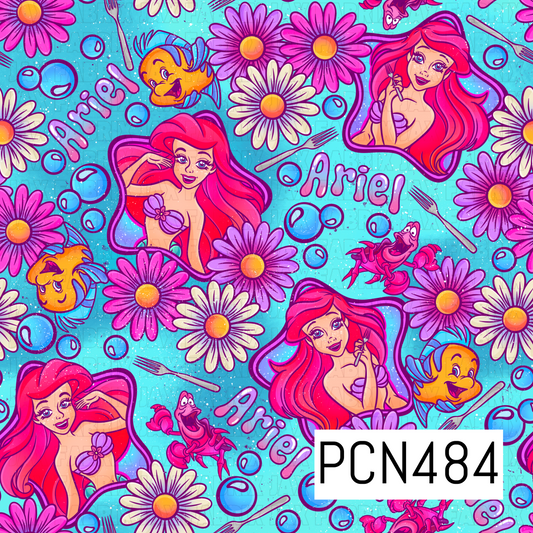 PCN484