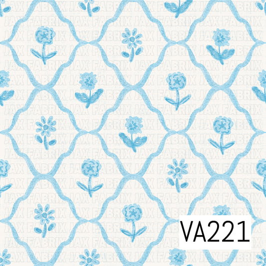 VA221