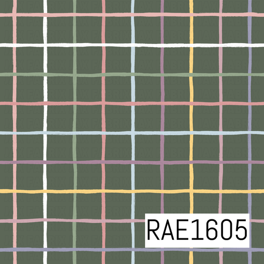 RAE1605