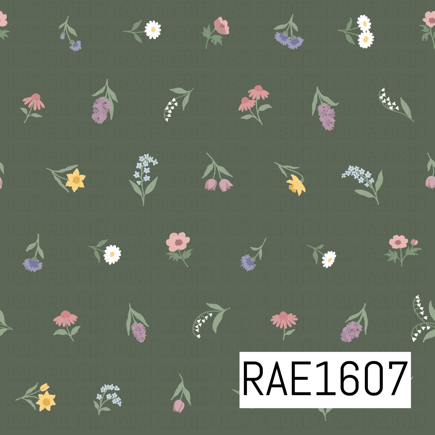 RAE1607
