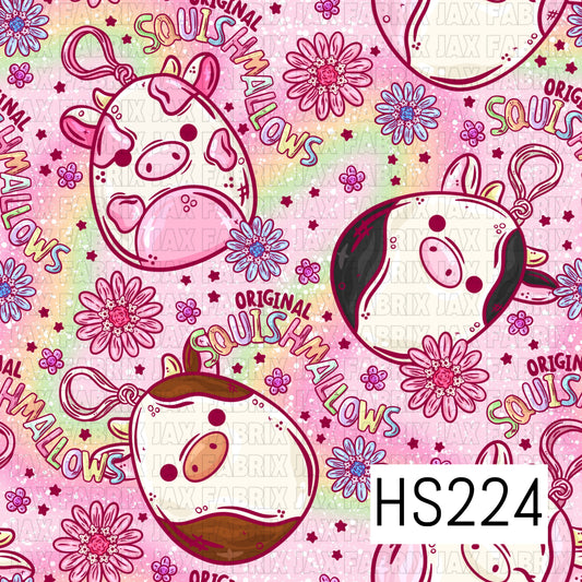 HS224