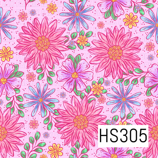 HS305