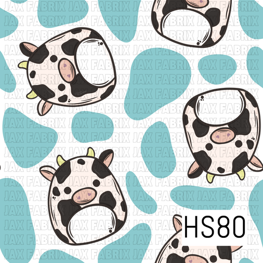 HS80