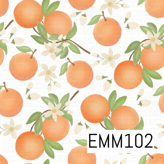 EMM102