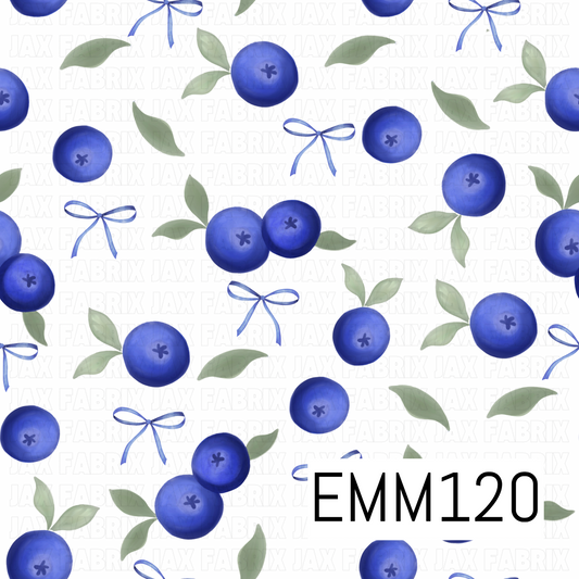 EMM120