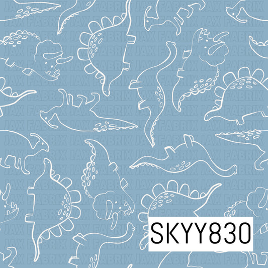 SKYY830