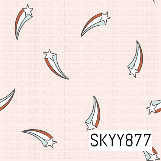 SKYY877