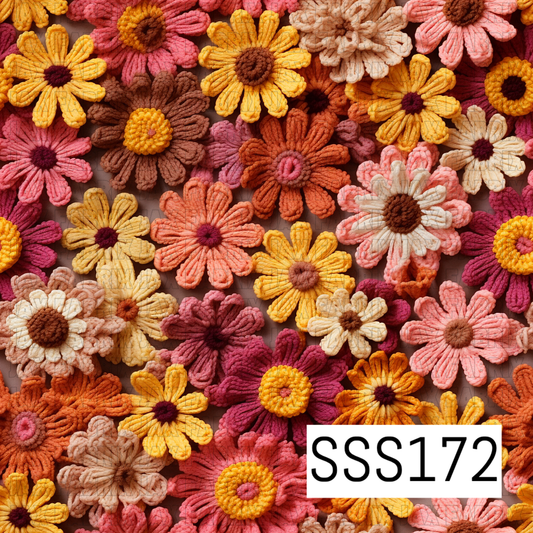 SSS172