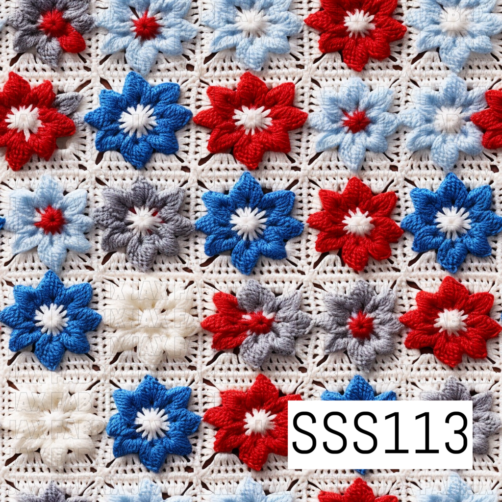 SSS113