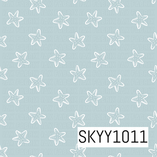 SKYY1011