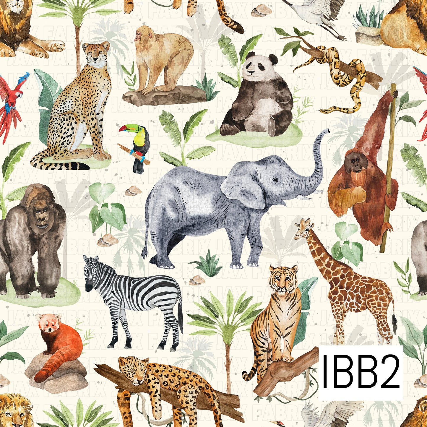 IBB2
