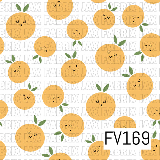 FV169