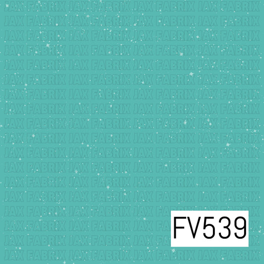 FV539