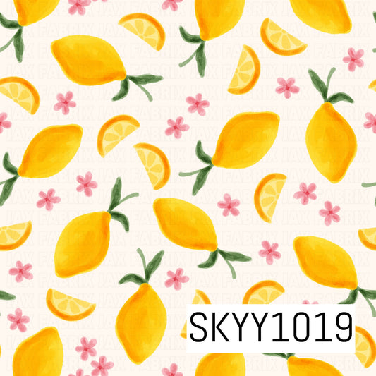 SKYY1019