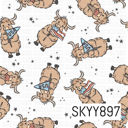 SKYY897