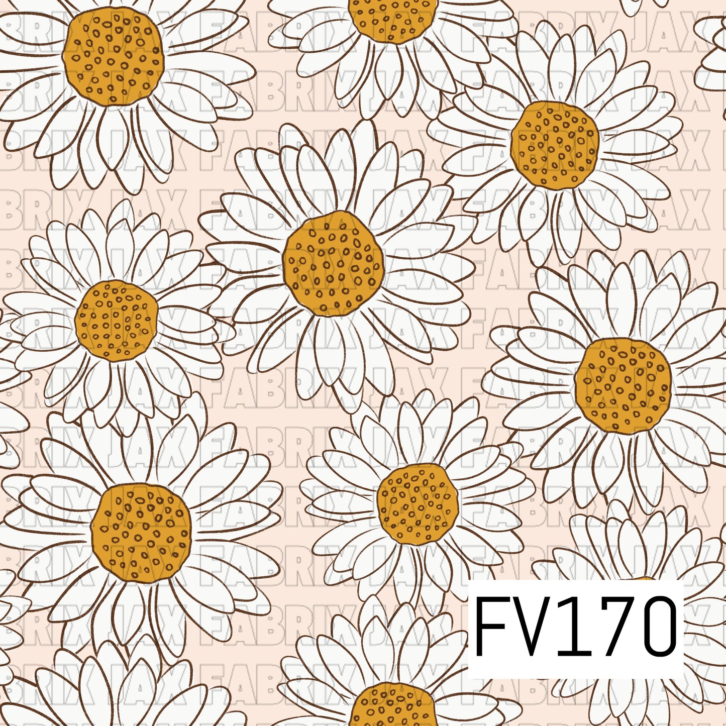 FV170