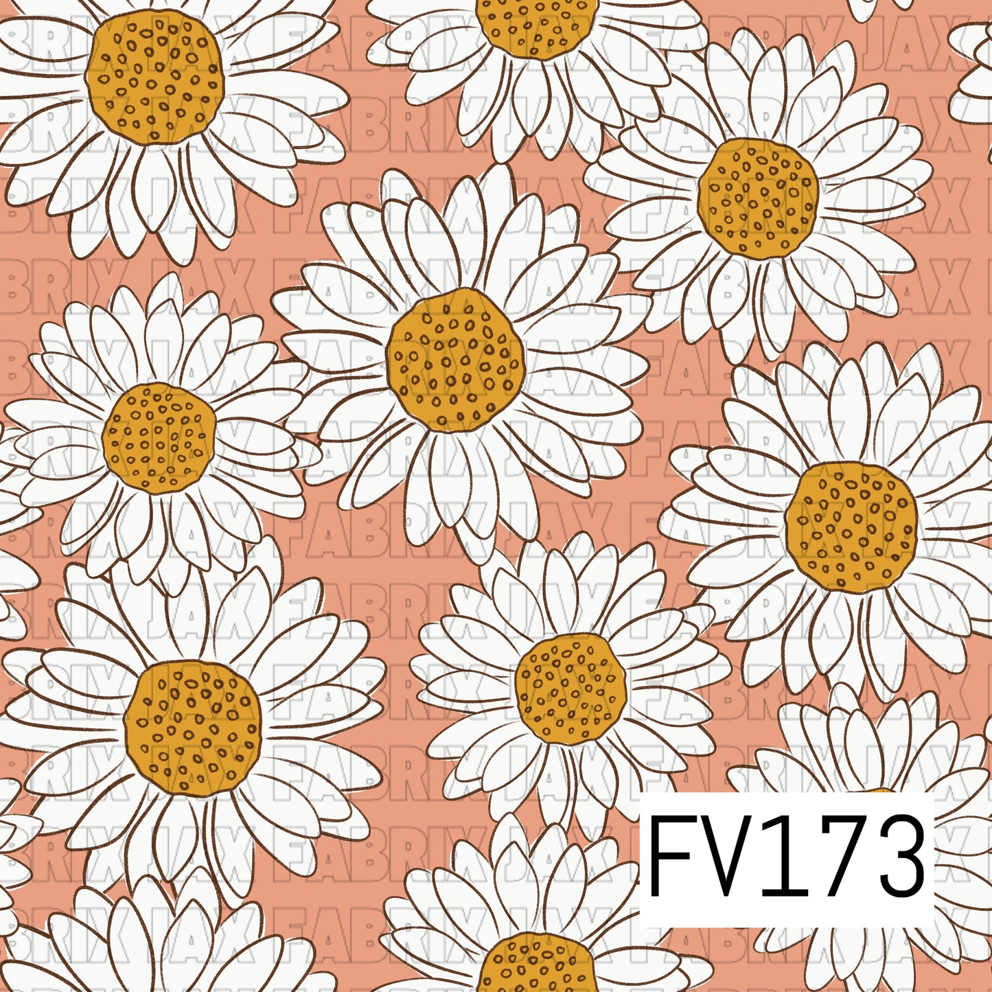 FV173