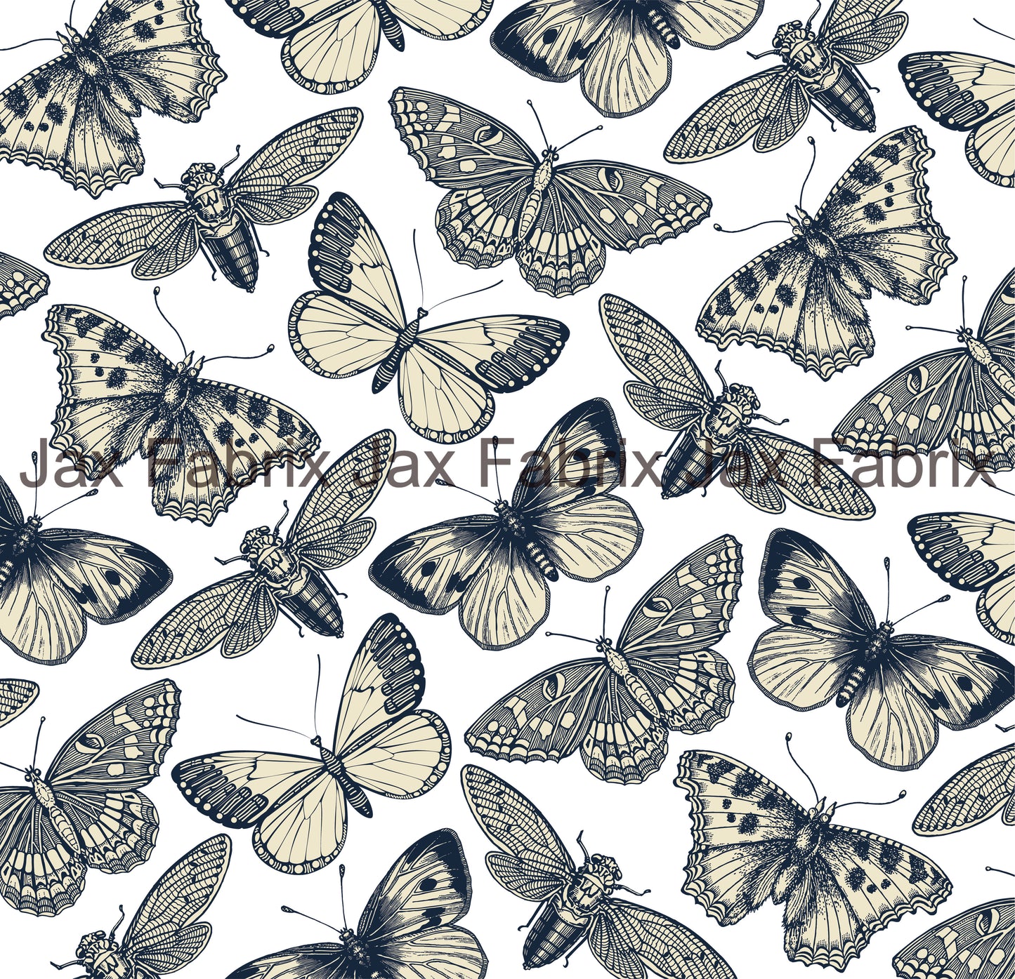 Moths and Butterflies INH50